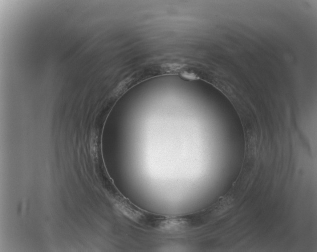 X0000079580274200612152114