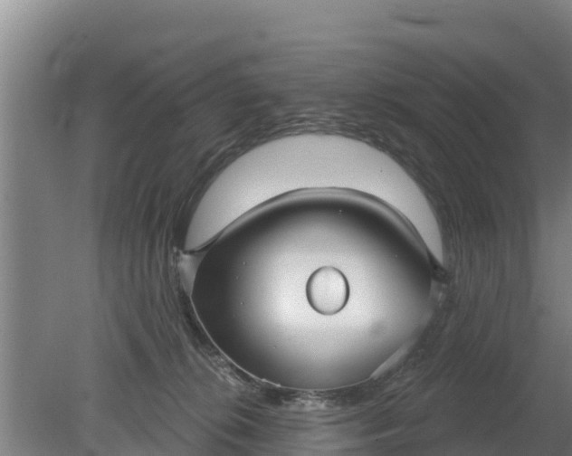 X0000079580276200612152114