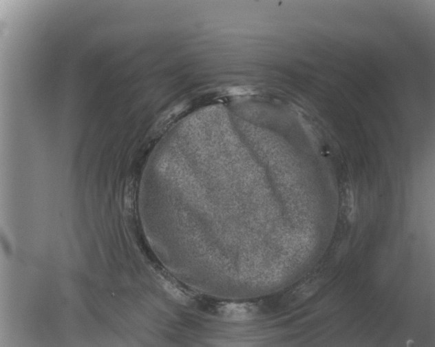 X0000079580277200612152114