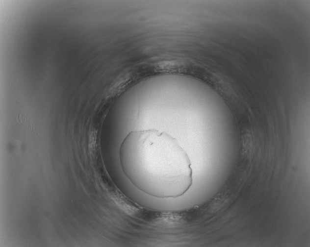 X0000079580278200612152114