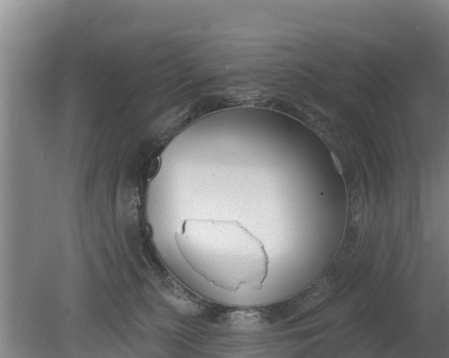 X0000079580279200612152114