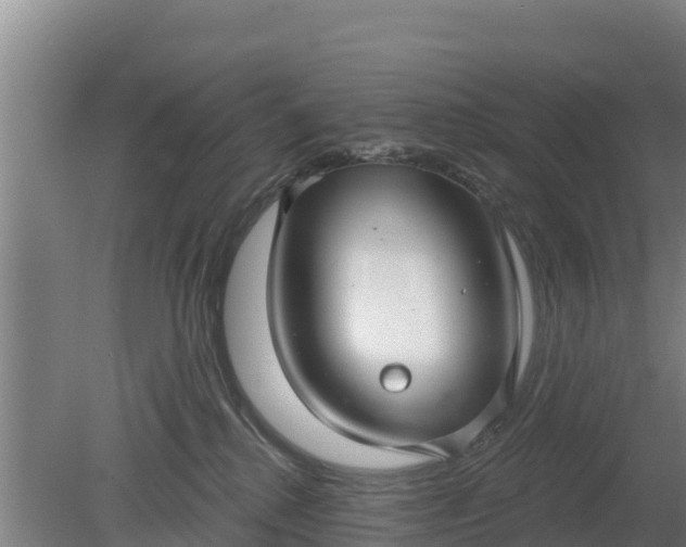 X0000079580280200612152114