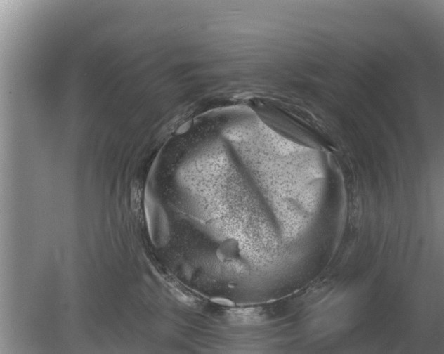 X0000079580281200612152114