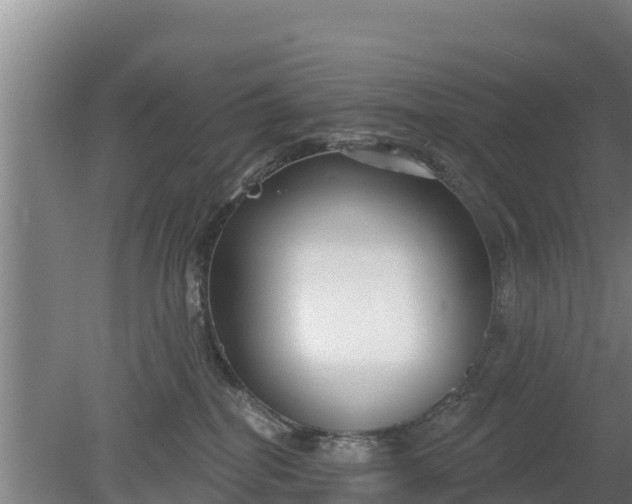 X0000079580282200612152114