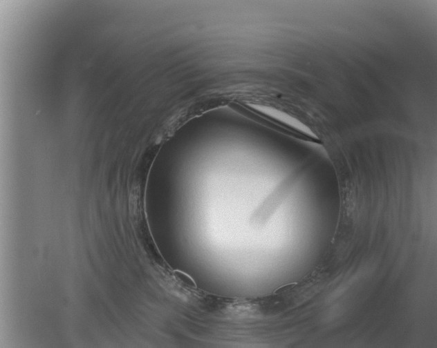 X0000079580283200612152114