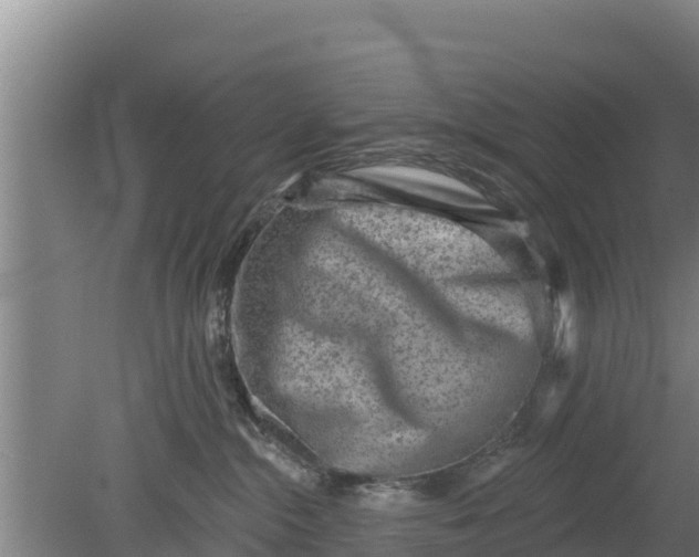 X0000079580284200612152114