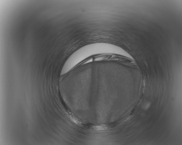 X0000079580286200612152114