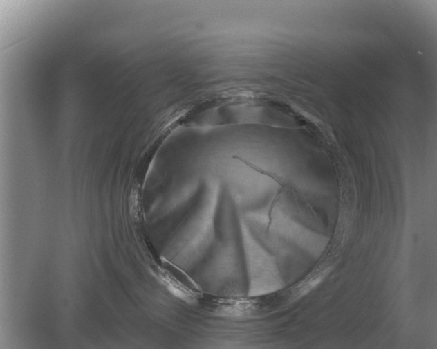 X0000079580288200612152114