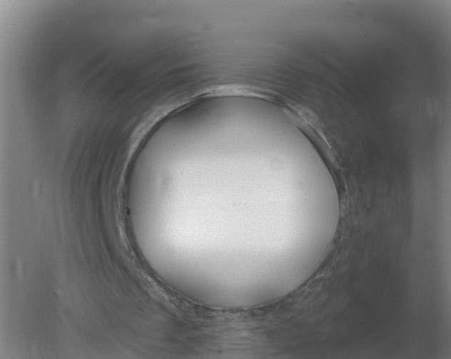 X0000079580289200612152113