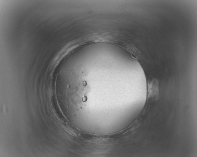 X0000079580291200612152113