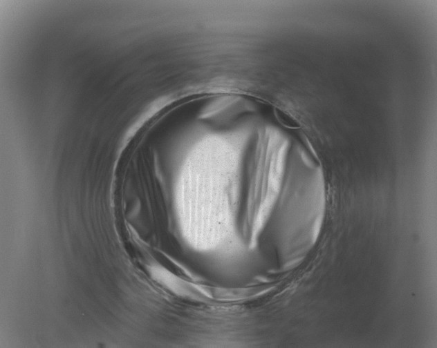 X0000079580292200612152113