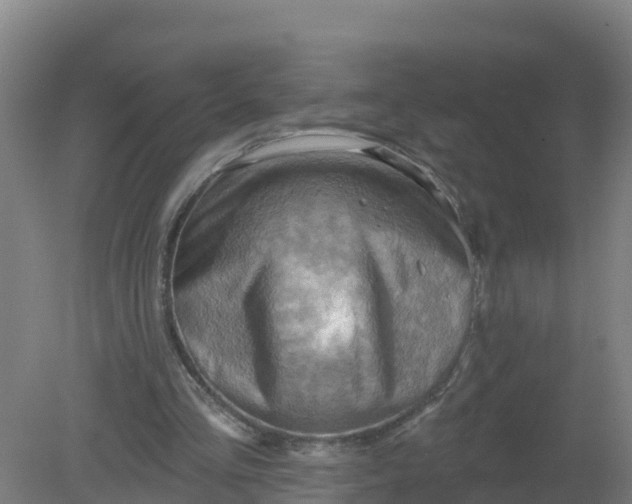 X0000079580293200612152113