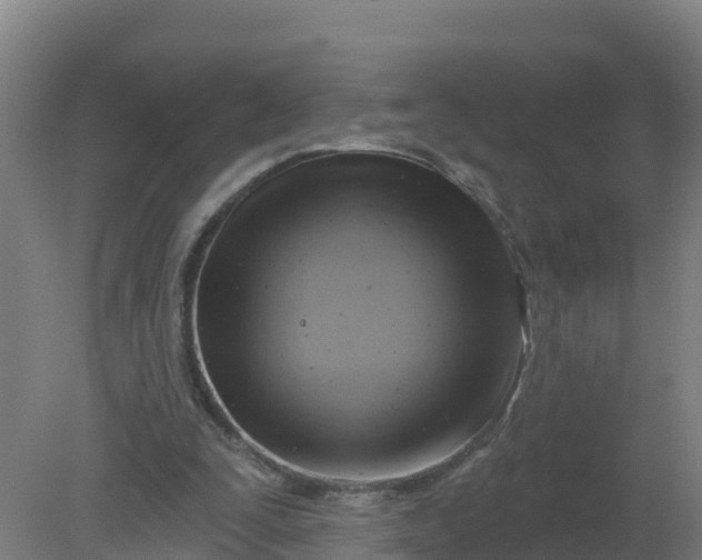 X0000079580295200612152113