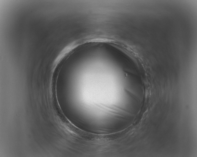 X0000079580296200612152113