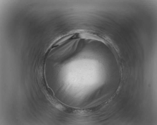 X0000079580297200612152113