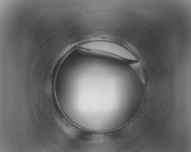 X0000079580298200612152113