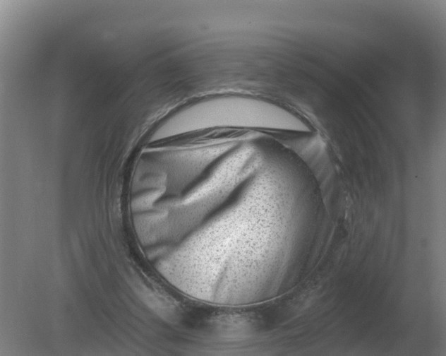 X0000079580299200612152113