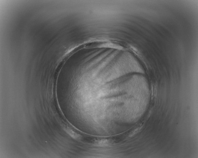 X0000079580301200612152113