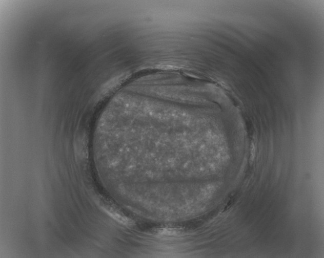 X0000079580303200612152113