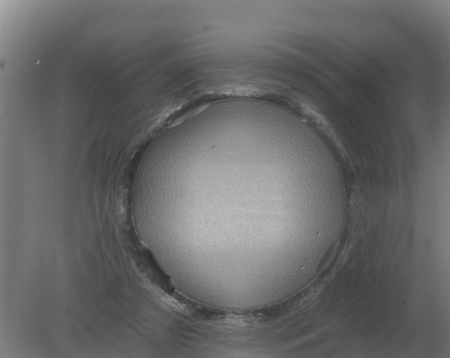 X0000079580305200612152113