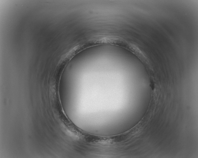 X0000079580306200612152113