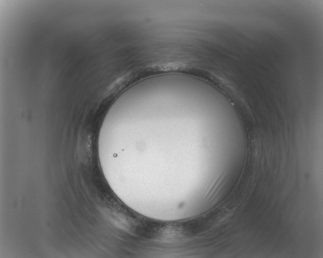 X0000079580308200612152113