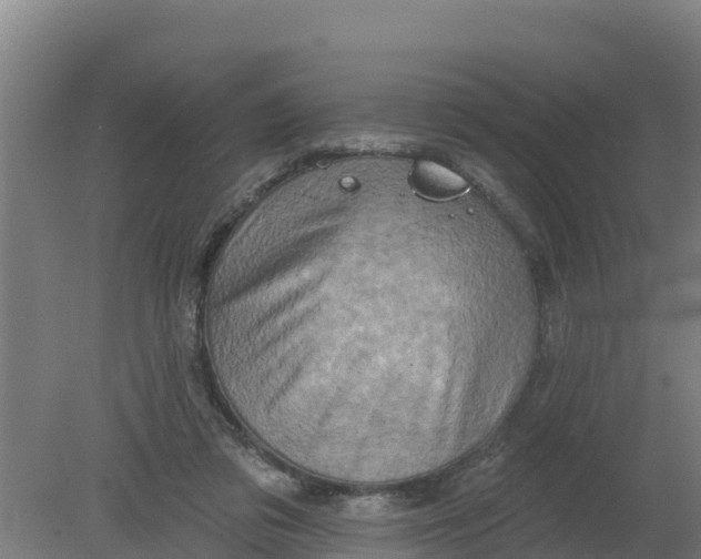 X0000079580309200612152113