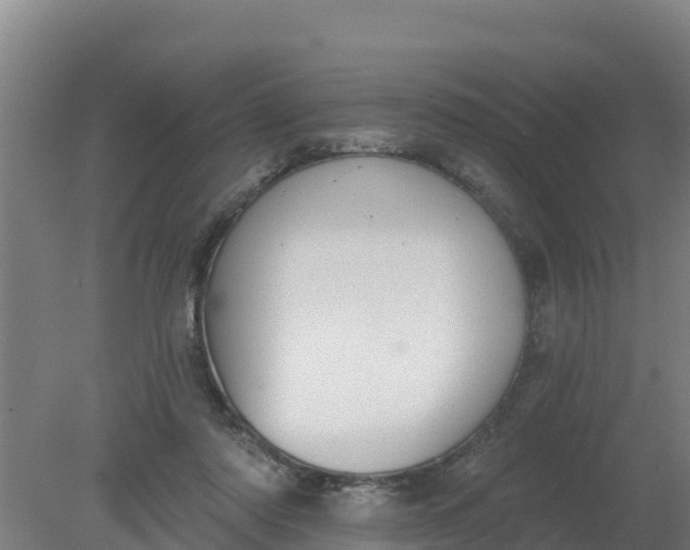 X0000079580310200612152113