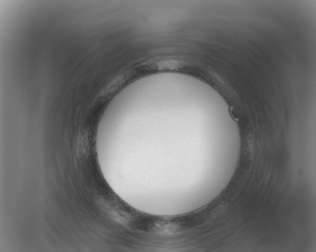 X0000079580311200612152113