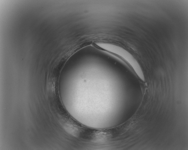 X0000079580315200612152113