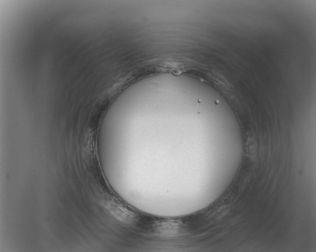 X0000079580318200612152112