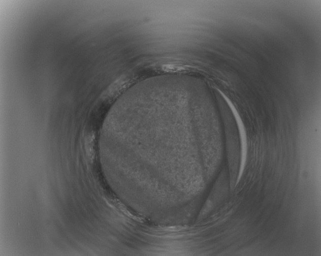 X0000079580319200612152112