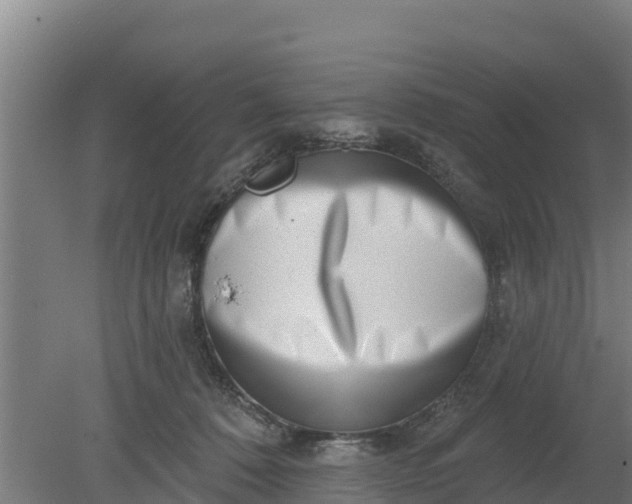 X0000079580320200612152112