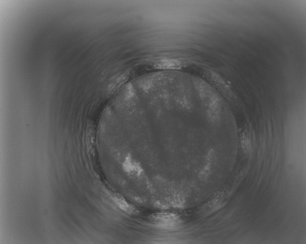 X0000079580322200612152112