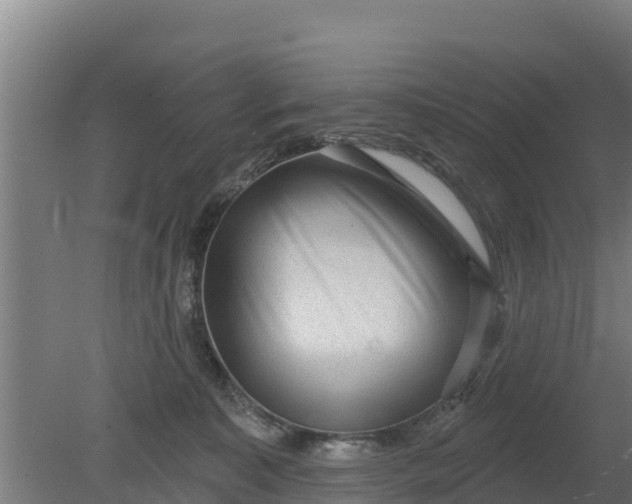 X0000079580323200612152112