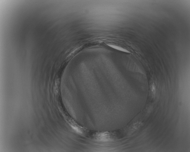 X0000079580325200612152112