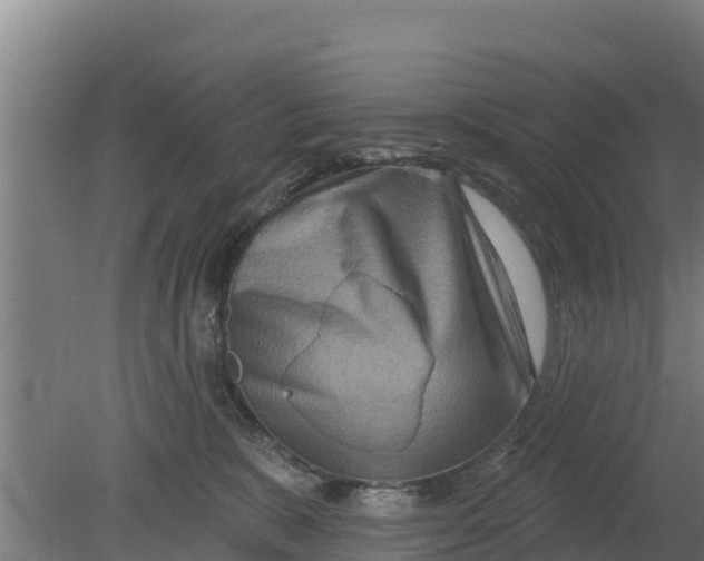 X0000079580327200612152112