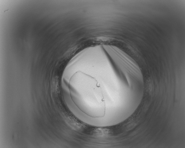 X0000079580328200612152112