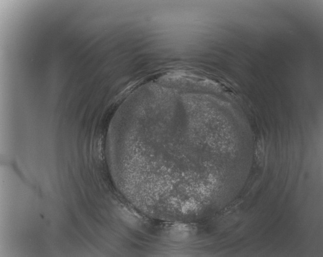 X0000079580330200612152112