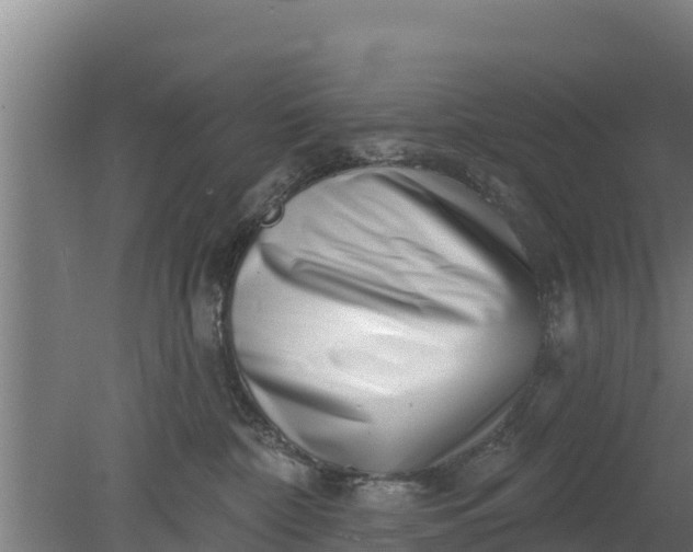 X0000079580332200612152112