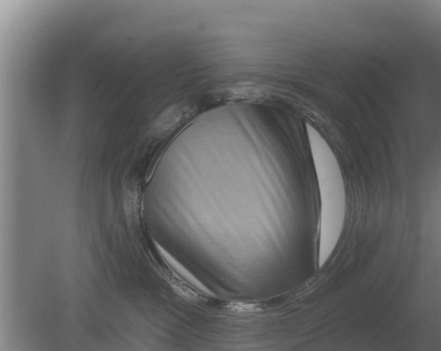 X0000079580333200612152112