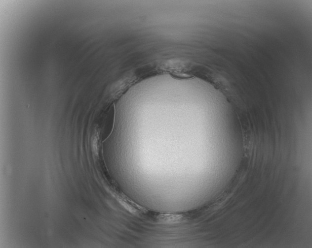 X0000079580334200612152112