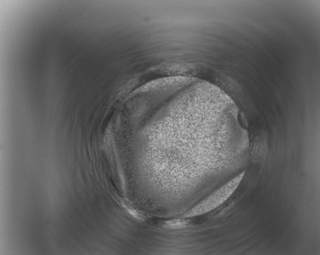 X0000079580335200612152112