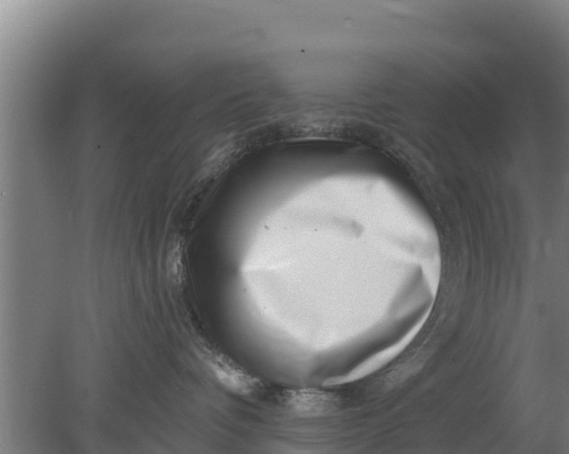 X0000079580336200612152112