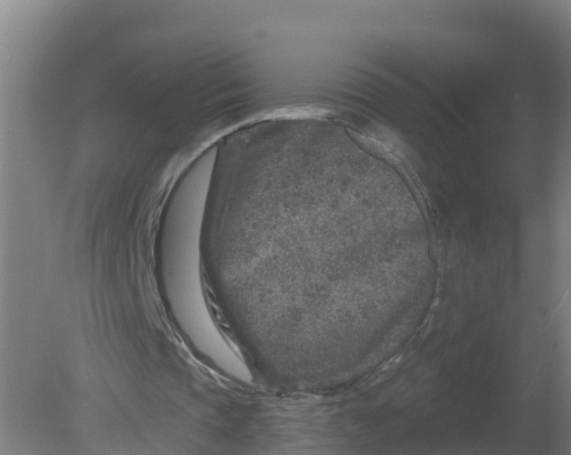 X0000079580337200612152111