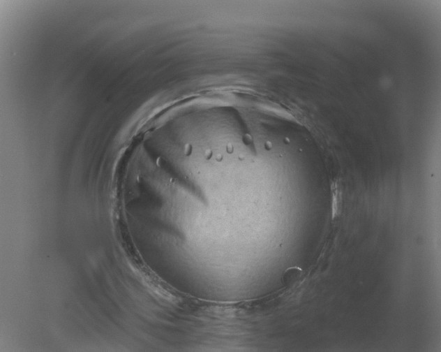 X0000079580339200612152111