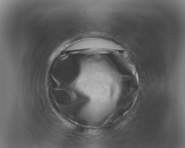 X0000079580341200612152111