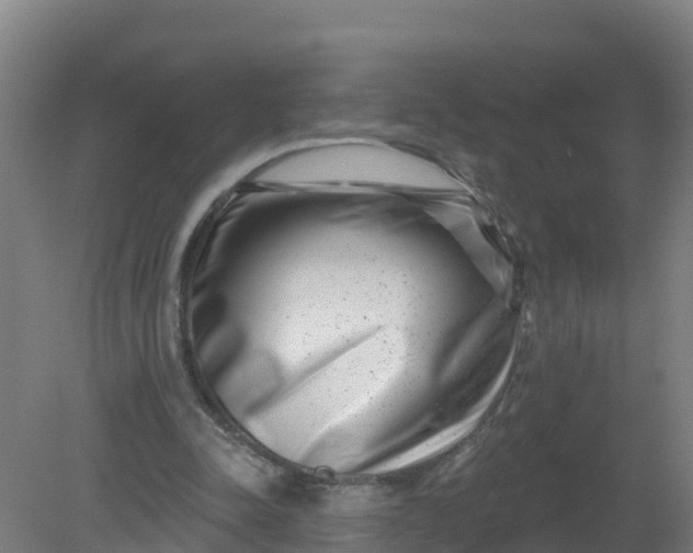 X0000079580342200612152111