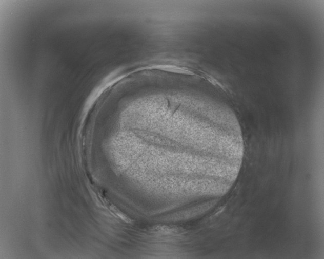 X0000079580343200612152111