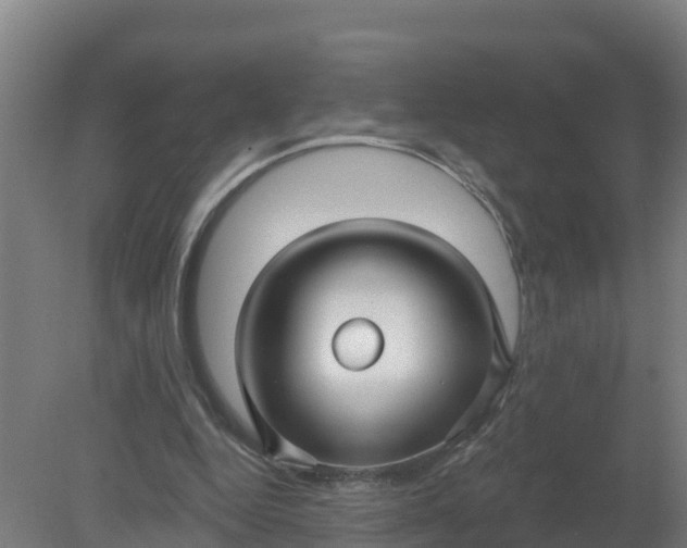 X0000079580344200612152111